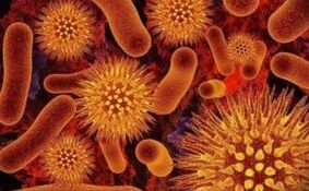 είδη παρασίτων στο ανθρώπινο σώμα